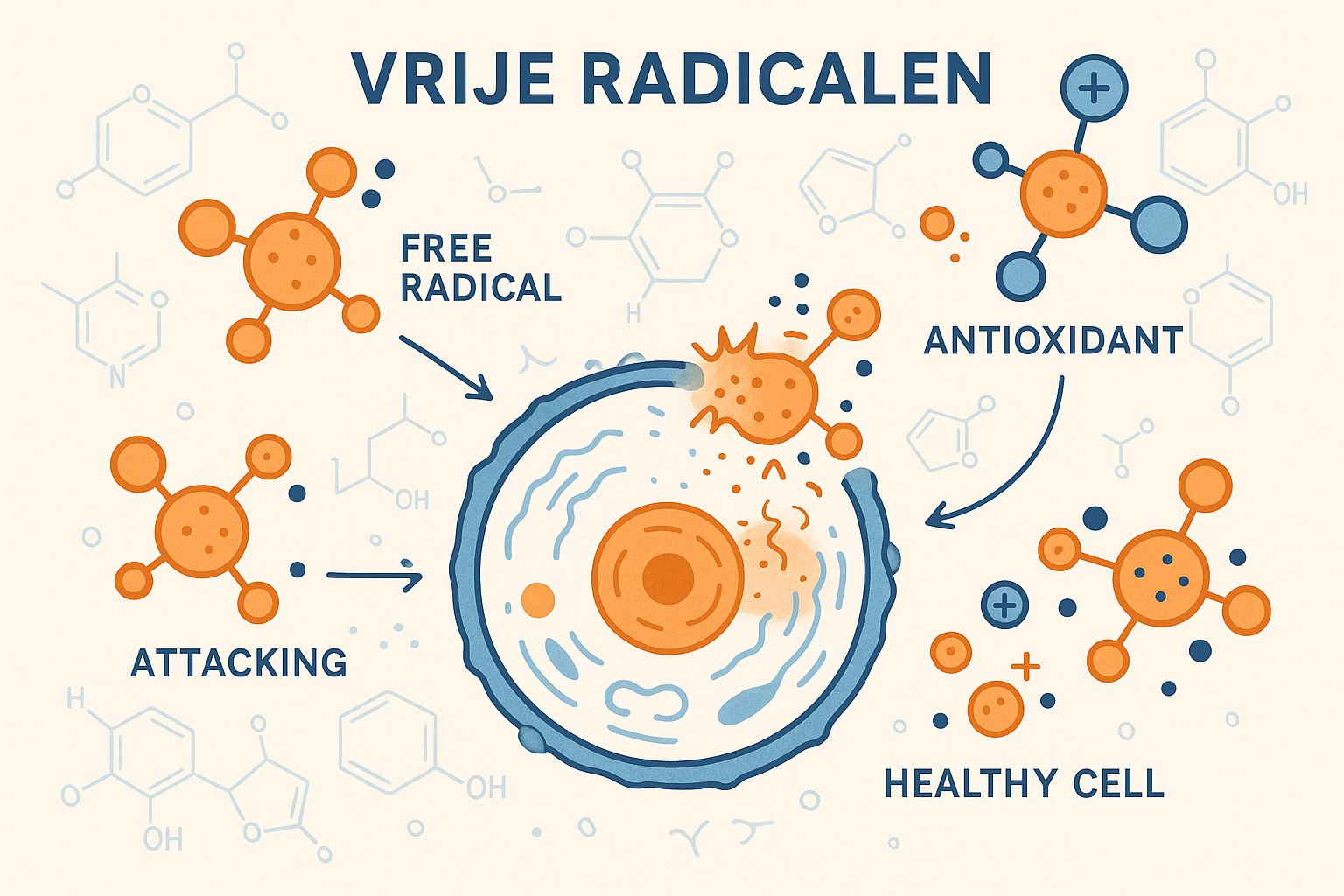 Het gevaar van vrije radicalen door haarkleuring - oxidatieve stress